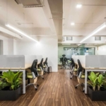 Wolfpack, Vasanth Nagar, Bangalore